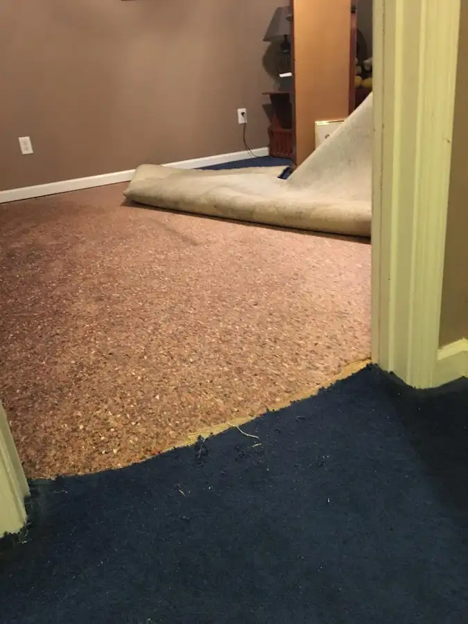 Carpet pad removal revealing water damage during Drying & Dehumidification in Willowbrook
