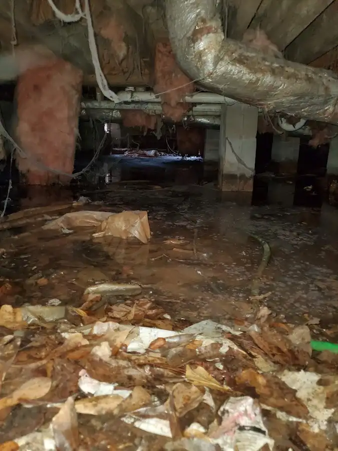 Crawl space flood assessment for Leak Detection & Repair in Willowbrook